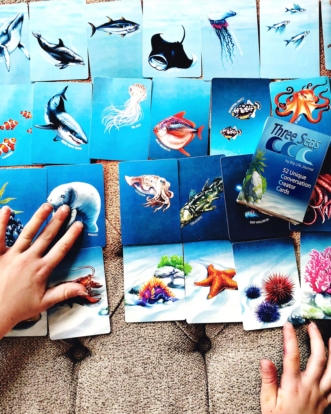 Growth Mindset Conversation Cards - Image 6