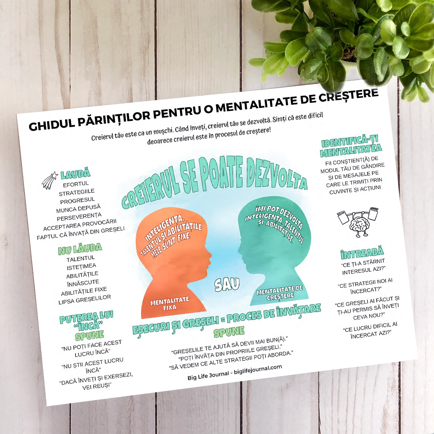 Mentalitatea de Creştere Kit PDF (vârsta 5-11) - Image 3